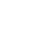 ӹʵico2